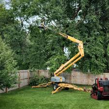 Leaf Removal in Mount Vernon, VA